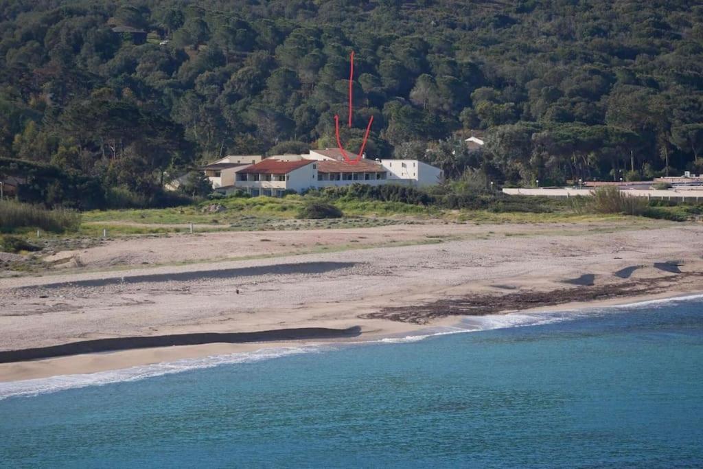 La Belle Vie F4 Bord De Plage Avec Jardin Calcatoggio  Eksteriør bilde