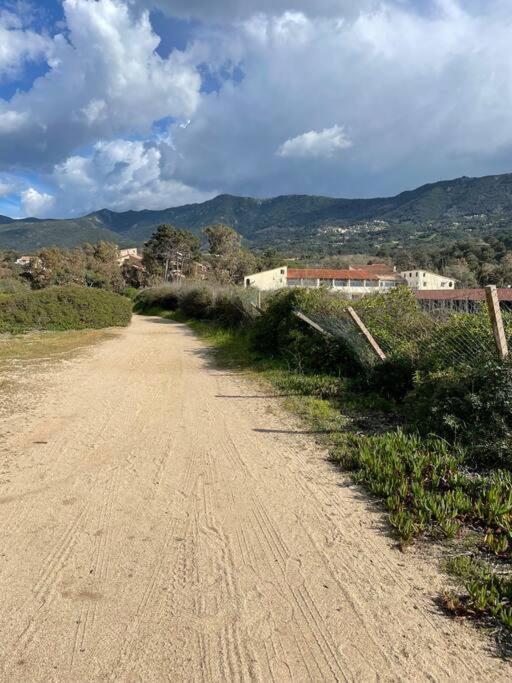 La Belle Vie F4 Bord De Plage Avec Jardin Calcatoggio  Eksteriør bilde