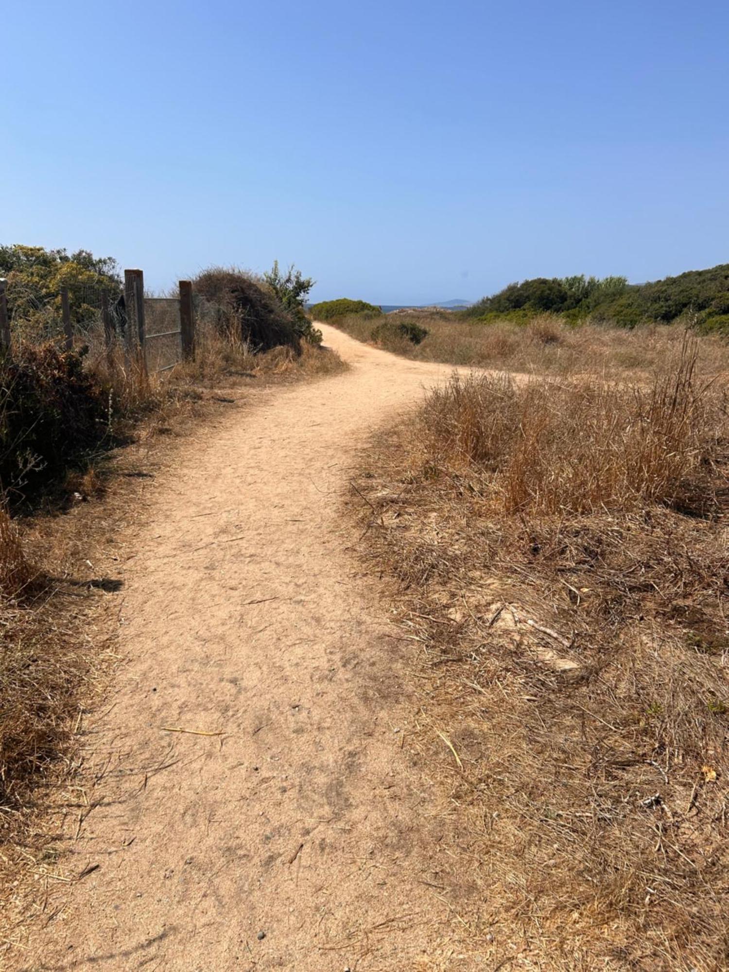 La Belle Vie F4 Bord De Plage Avec Jardin Calcatoggio  Eksteriør bilde
